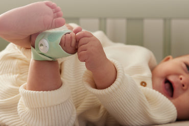 Owlet Beeldbabyfoon Cam 2 & Dream Sock Mint Green