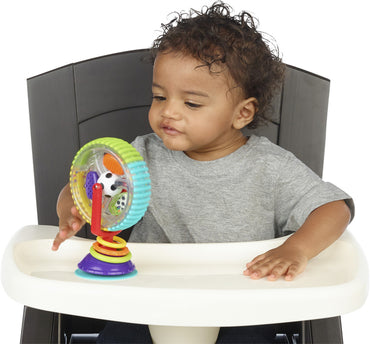Sassy Jouet d'activité Wonder Wheel