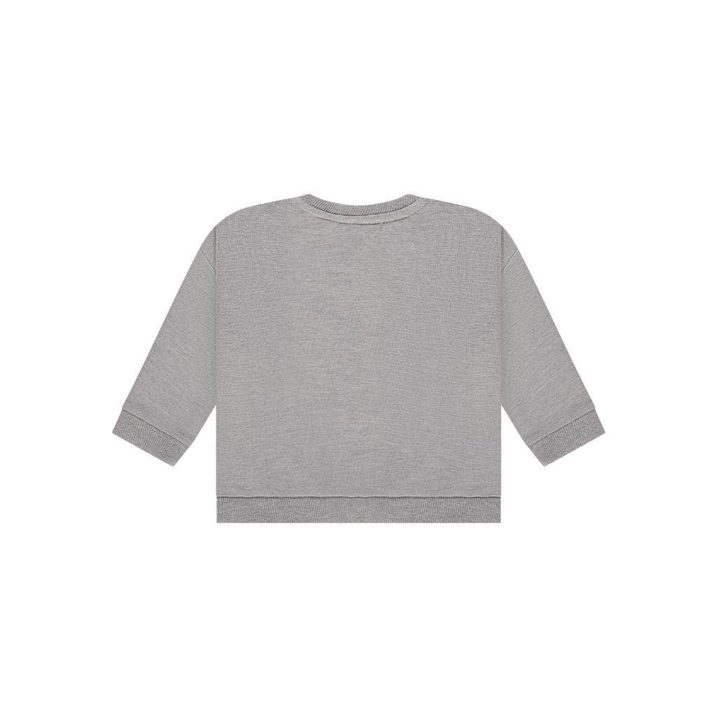 BabyFace Sweatshirt grijs