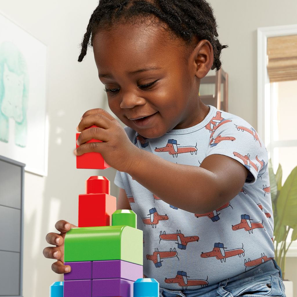 MEGA BLOKS First Builders Big Building Bag