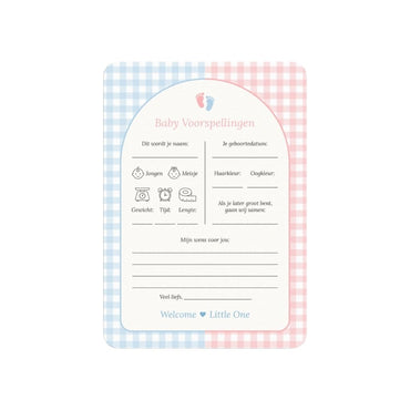 Studio Miron Cartes de Prédictions Bébé Vichy Rose/Bleu NL - 10 pièces