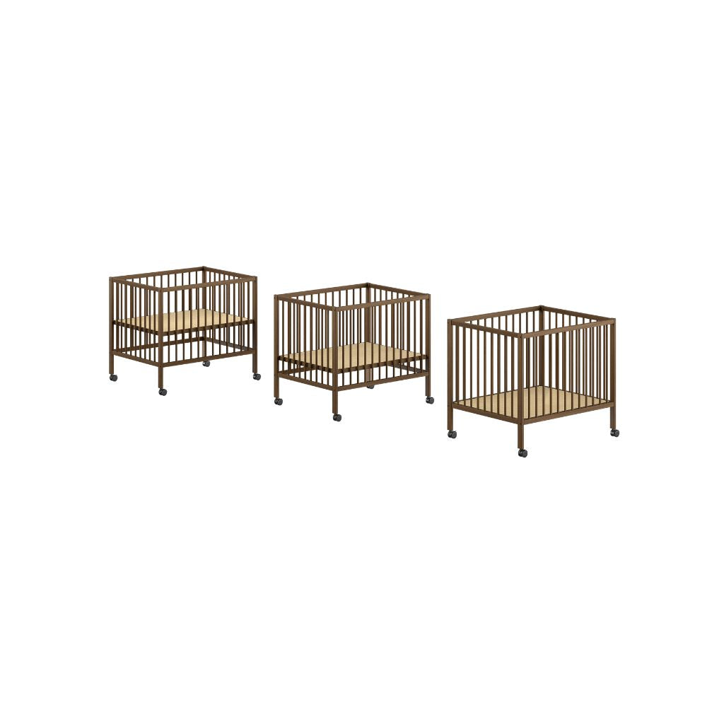 JAXX Park Dino Walnut