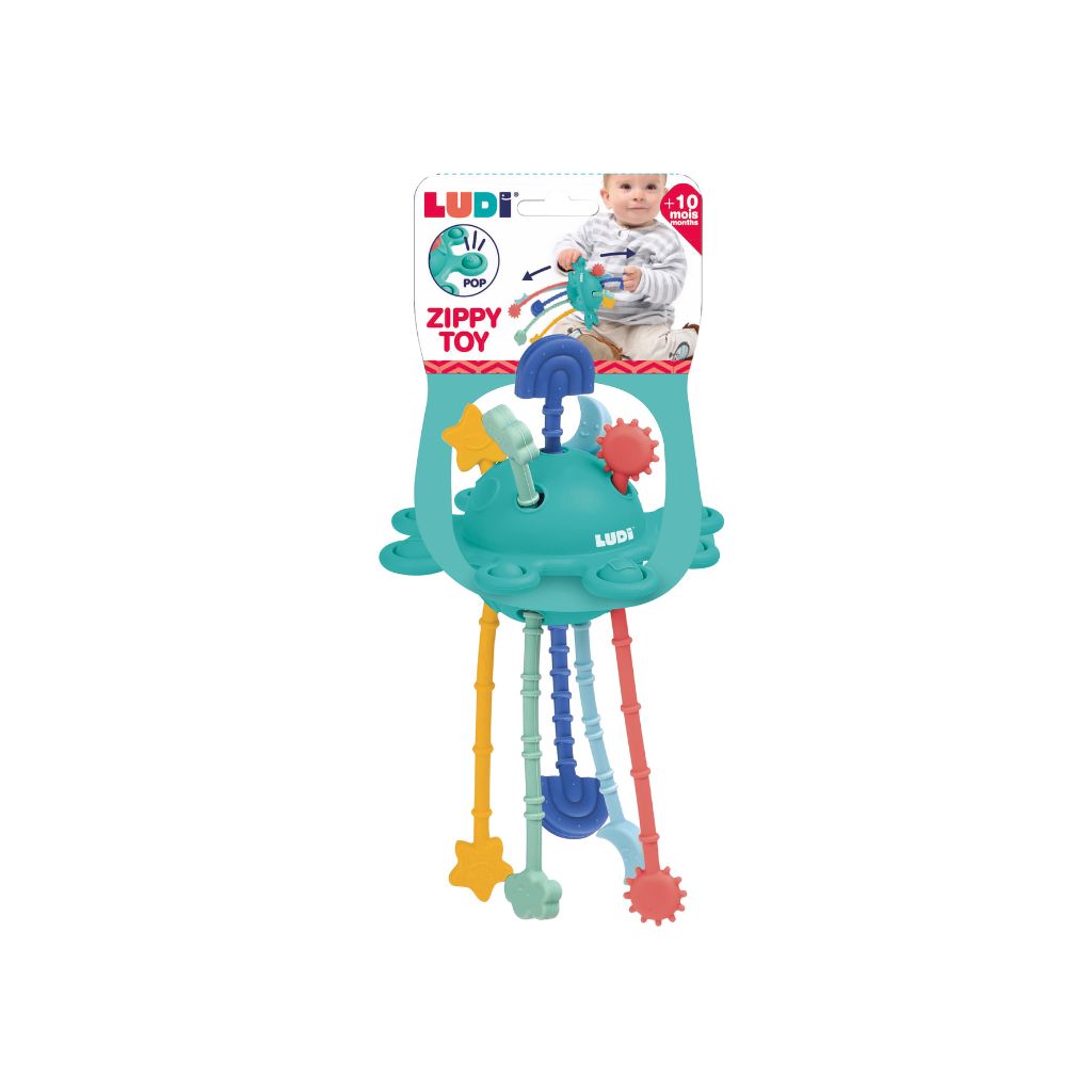 Ludi Jouet d'activité hochet Zippy Toy