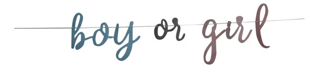 HAZA Witbaard Slinger Gender reveal 213 cm