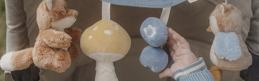 Accessoires voor de kinderwagen: wat heb je echt nodig?