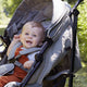 Het verschil tussen een kinderwagen en buggy