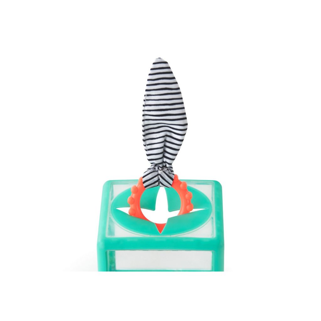 Sassy Cube d'activités Rainbow Ring Drop