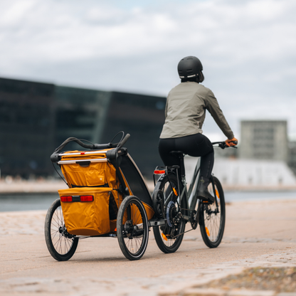 Thule Fietskar Chariot Sport 1 Simple Natural Gold