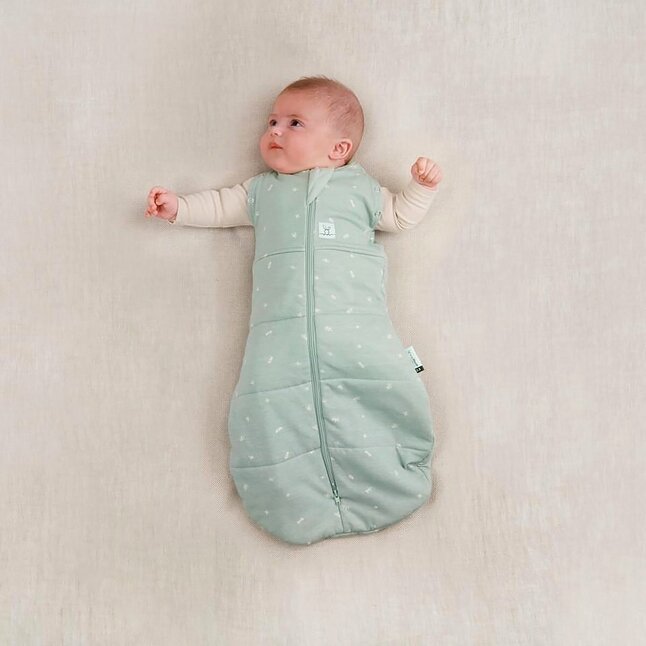 Ergopouch Sac d'emmaillotage / Sac de couchage d'hiver Cocoon TOG 2,5 Sage Green 60 cm