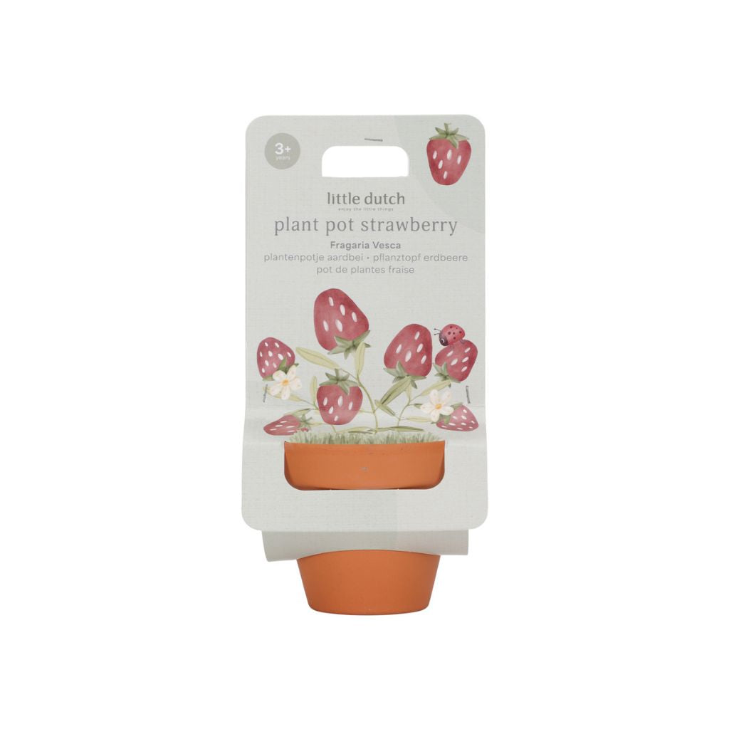 Little Dutch Pot de fleur Fraise