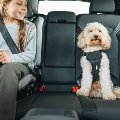 Thule Siège-auto Palm Groupe 2/3 R129 Isofix Mid Gray