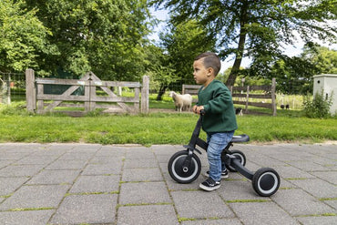 Topmark Tricycle 4 en 1 Kaya Anthracite