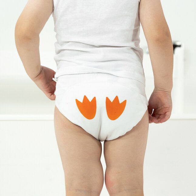 My Carry Potty Culotte d'apprentissage 2 - 3 ans - 3 pièces
