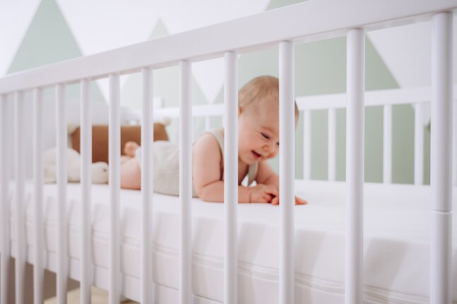 ZZZOO Matelas pour lit de bébé Dauphin Lg 60 x L 120 cm