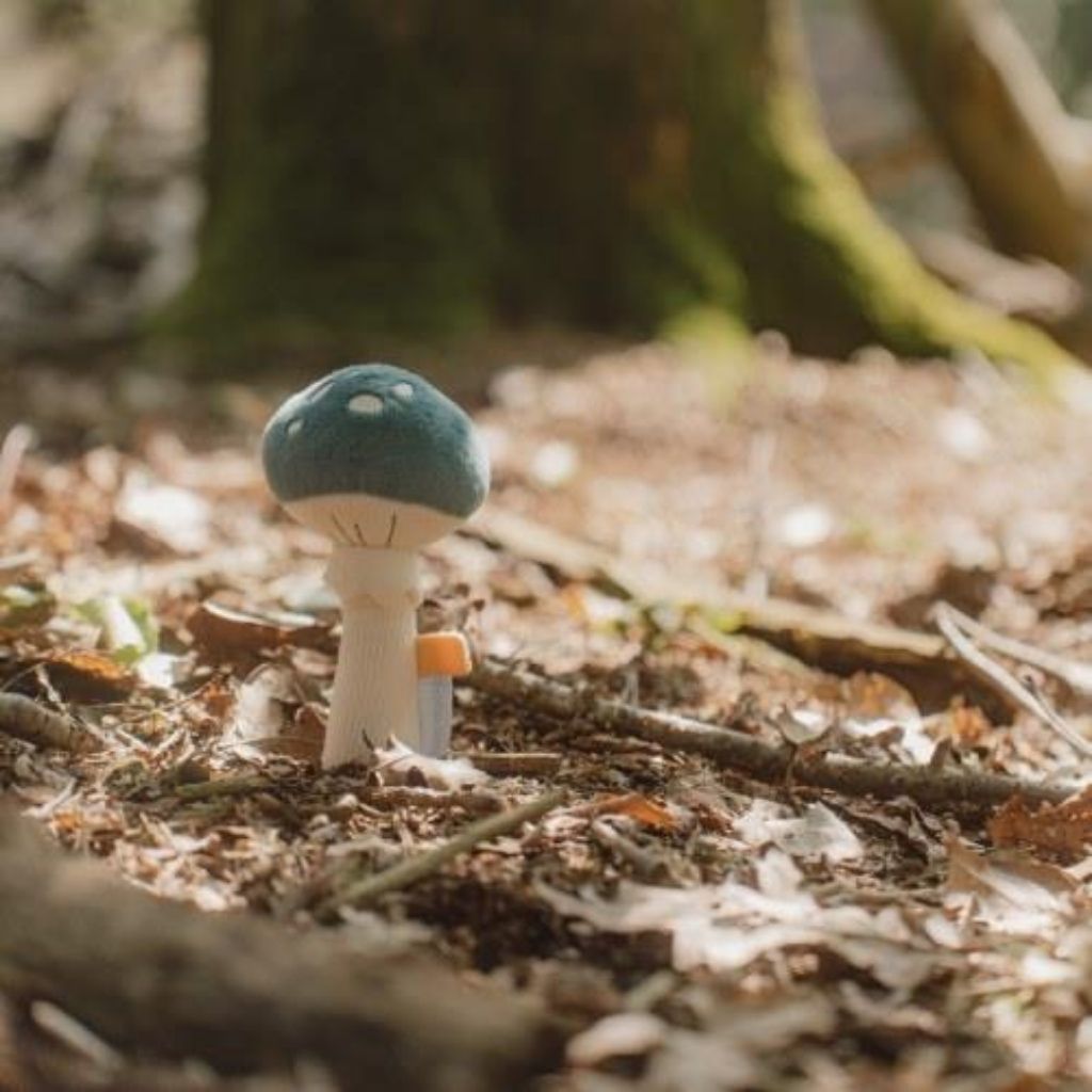 Little Dutch Hochet Forest Friends Champignon