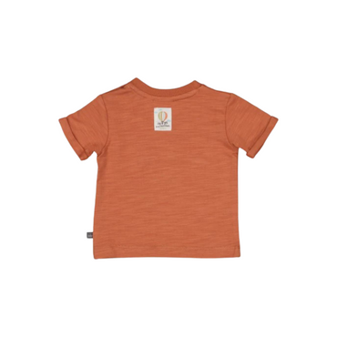 Feetje T-shirt - Mini Adventurer m 68 Brique Jongens