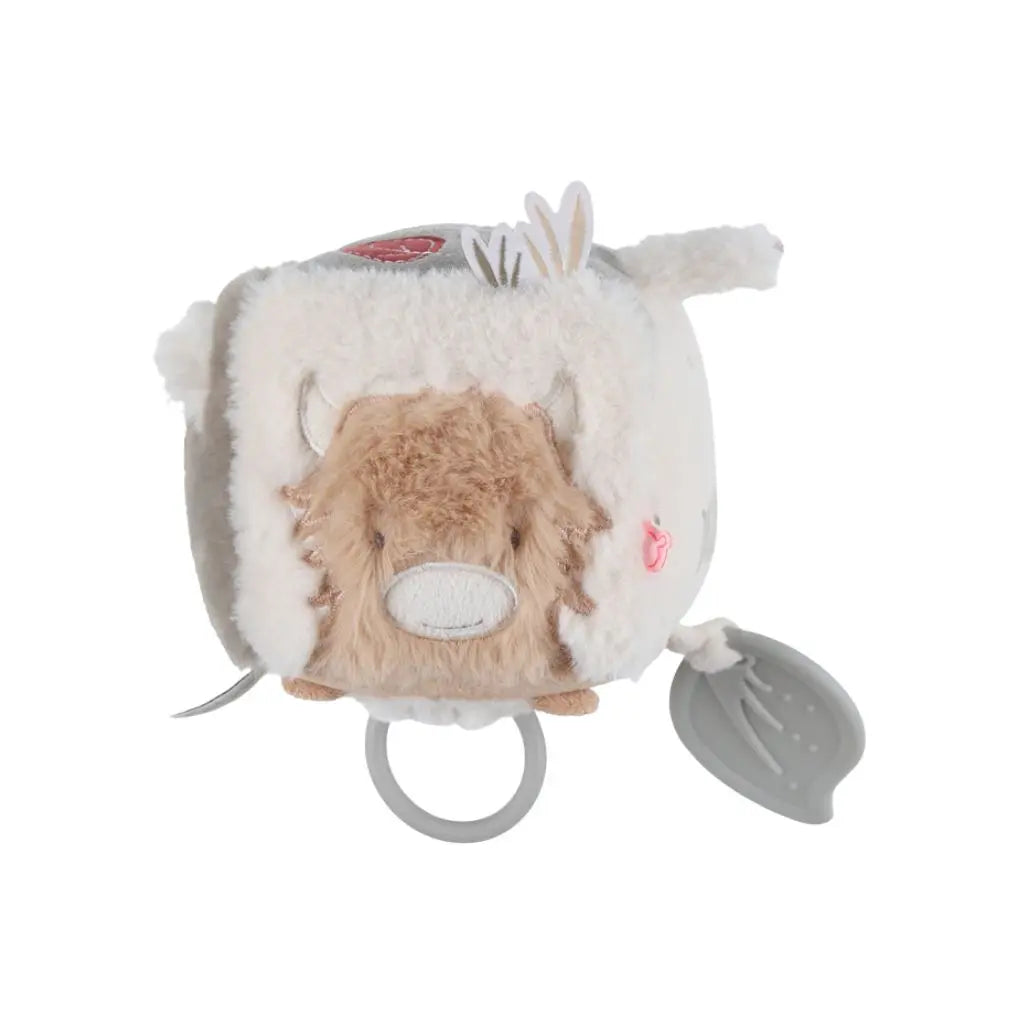 Noukie's Activiteitenkubus Fluffy & Orso