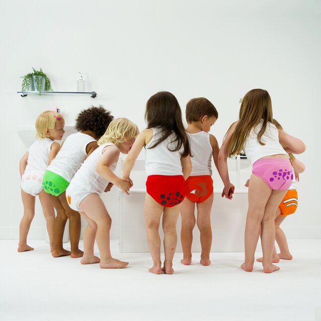 My Carry Potty Culotte d'apprentissage 2 - 3 ans - 3 pièces