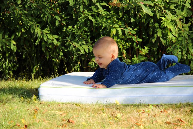 ABZ Matras voor babybed Panda B 60 x L 120 cm
