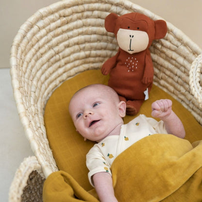 Trixie Peluche Mr. Monkey 38 cm