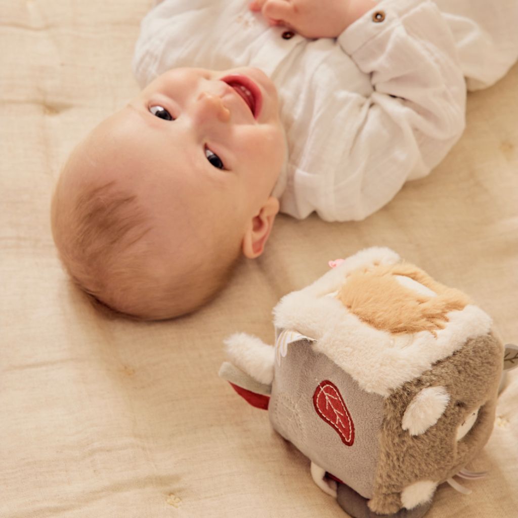 Noukie's Activiteitenkubus Fluffy & Orso