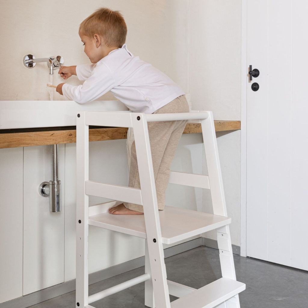JAXX Tour d'apprentissage Beech