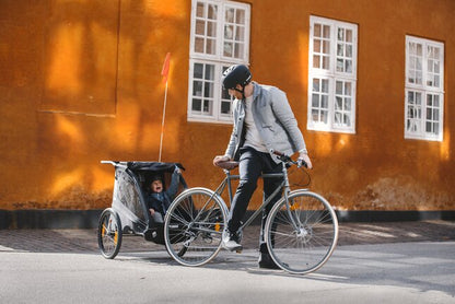 Thule Remorque de vélo Coaster 2 XT Black