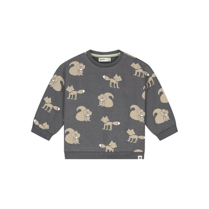 BabyFace Sweatshirt Jongens Antra