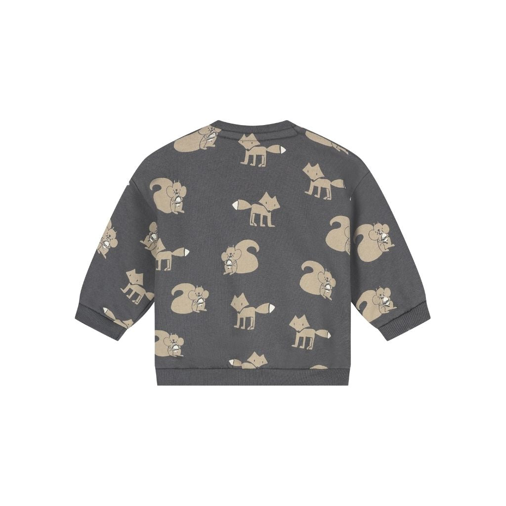 BabyFace Sweatshirt Jongens Antra