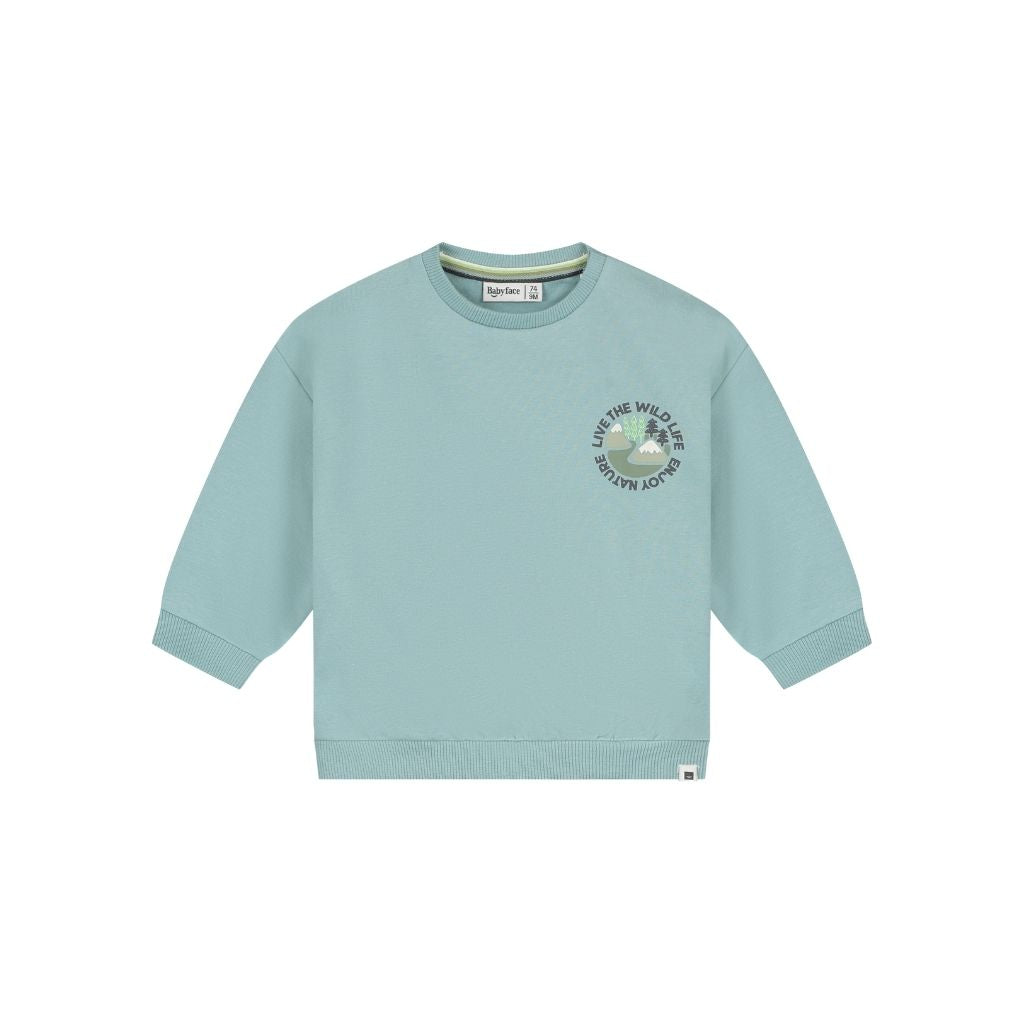 BabyFace Sweatshirt Garçons Sky 