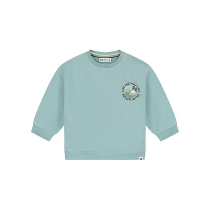 BabyFace Sweatshirt Garçons Sky 