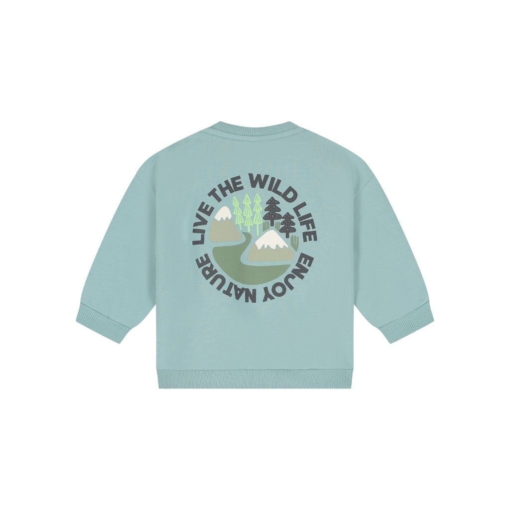 BabyFace Sweatshirt Garçons Sky 