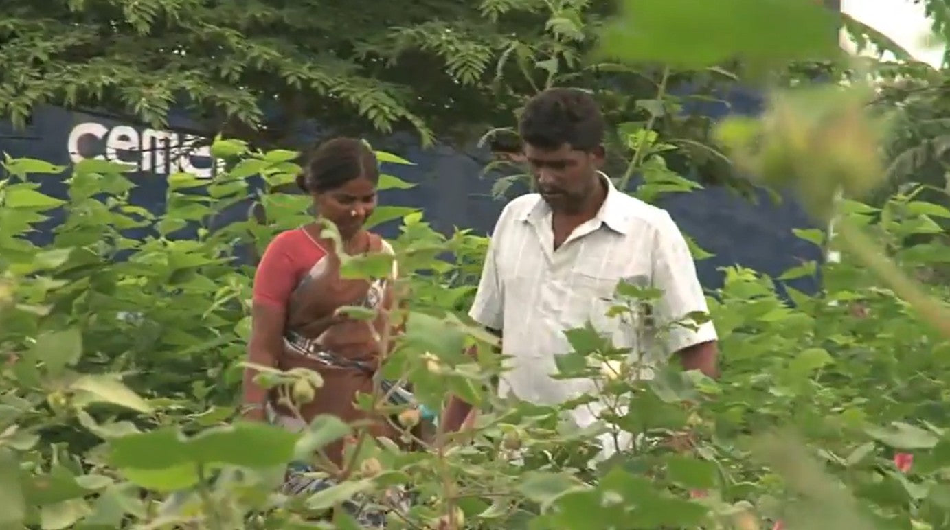 Charger la vidéo : Better Cotton en Inde