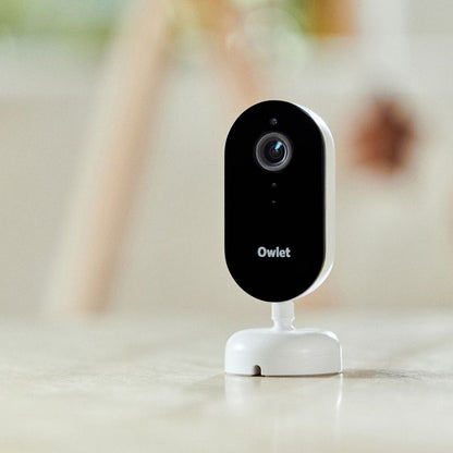 Owlet Caméra Dream Sight Multicolore