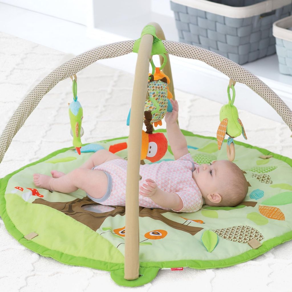 Skip*Hop Tapis De Jeu Activity Gym 