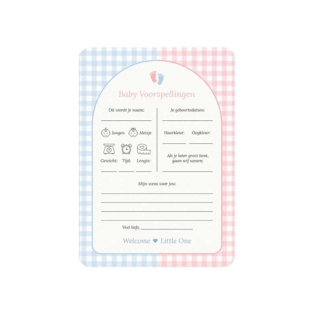 Studio Miron Cartes de Prédictions Bébé Vichy Rose/Bleu NL - 10 pièces