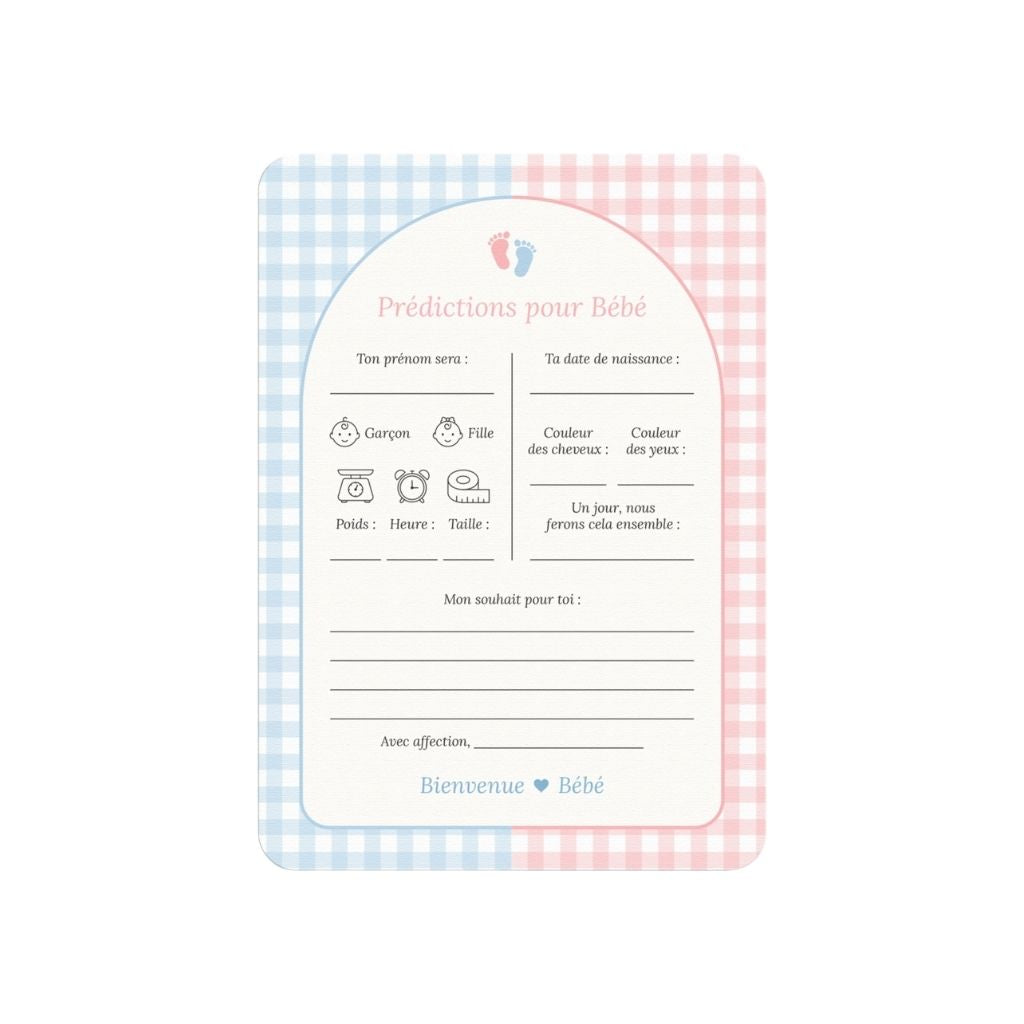 Studio Miron Invulkaarten Baby Voorspellingen Gingham Roze/Blauw FR – 10 stuks