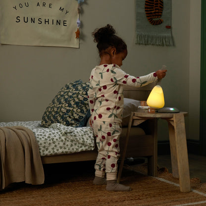 Shnuggle Nachtlampje Moonlight Plus Bruin