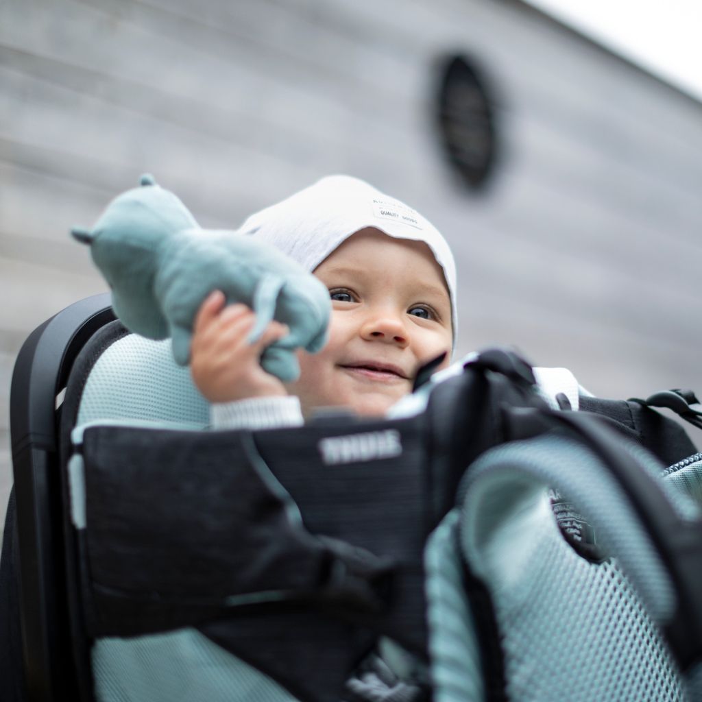 Thule Porte-bébé de randonnée Sapling Black
