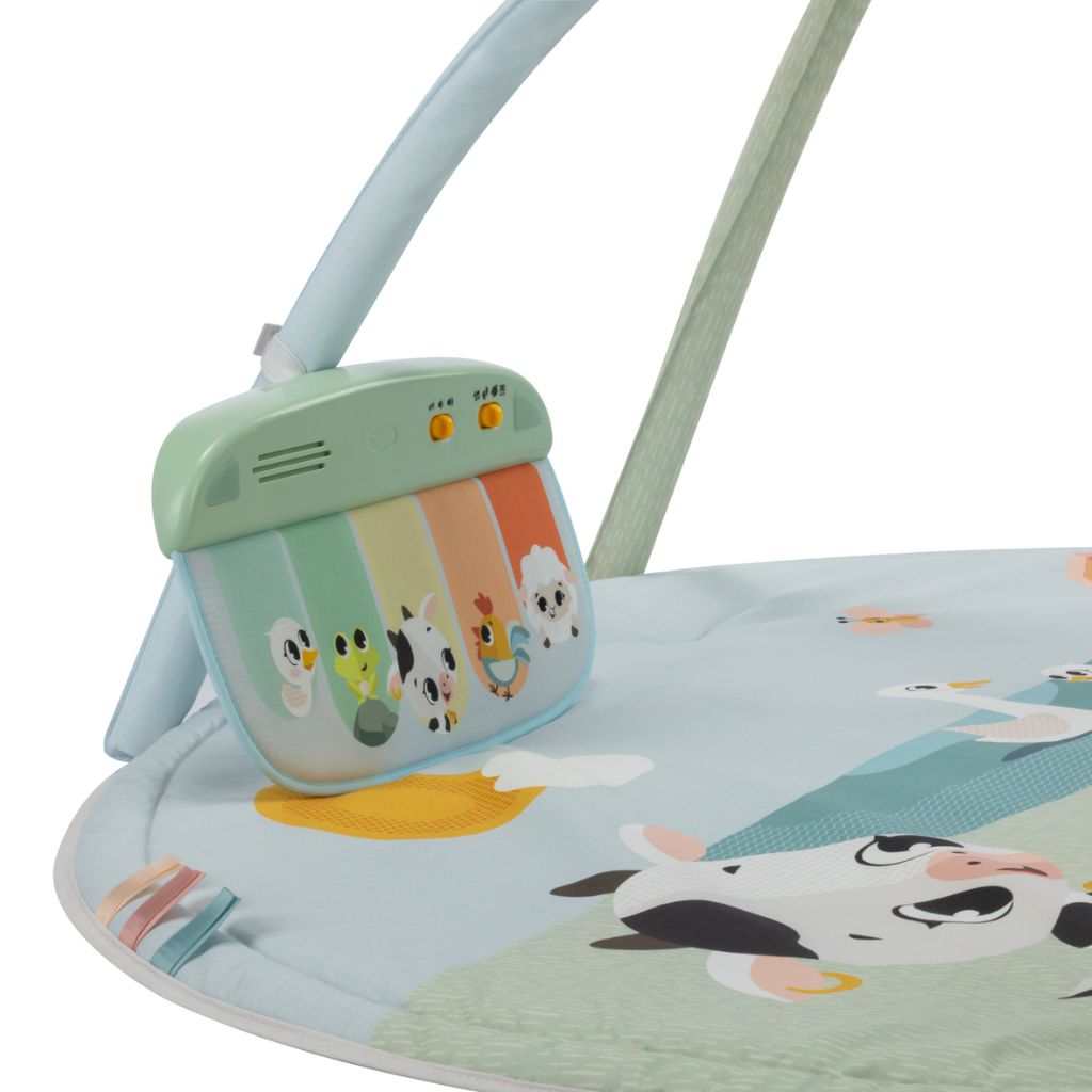 TinyLove Speelmat Met Speelboog Famers Gymini