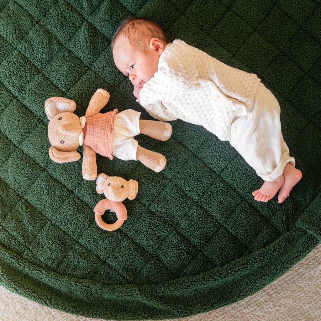 Play&Go Opbergzak / Speeldeken Noomad Evergreen Teddy