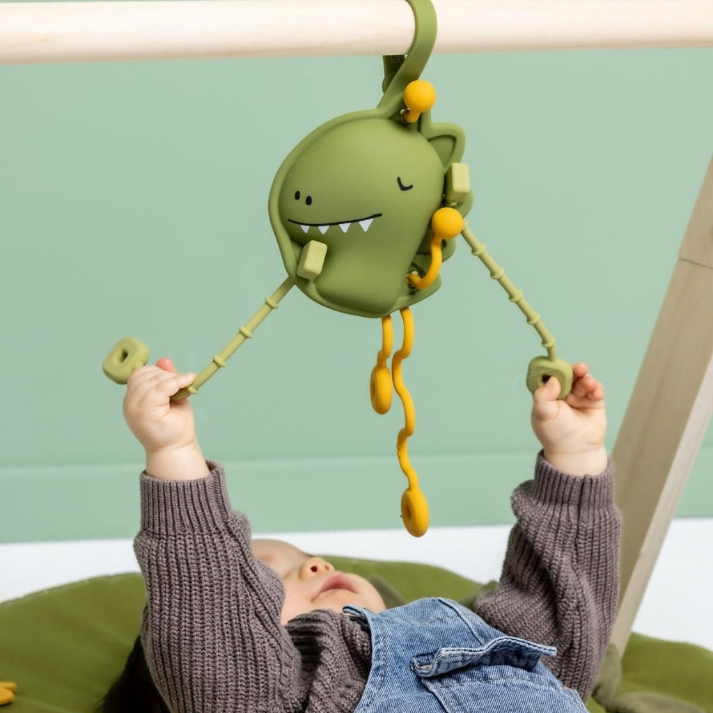 Trixie Sensorisch Trekspeelgoed Siliconen Mr. Dino Green