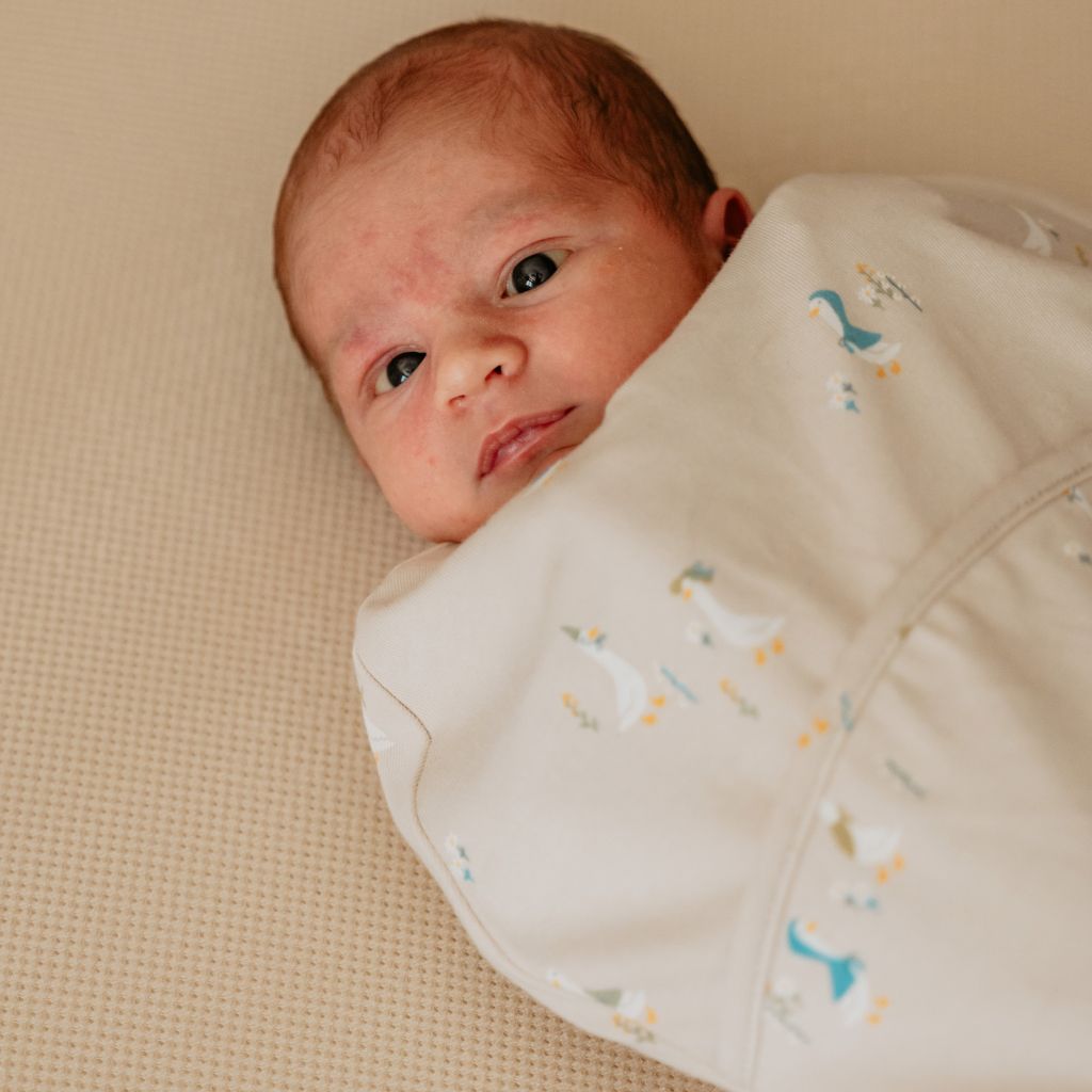 Puckababy Sac d'emmaillotage / Sac De Couchage d'été The Orginal Piep Cotton TOG 0,5 Geese 66 cm