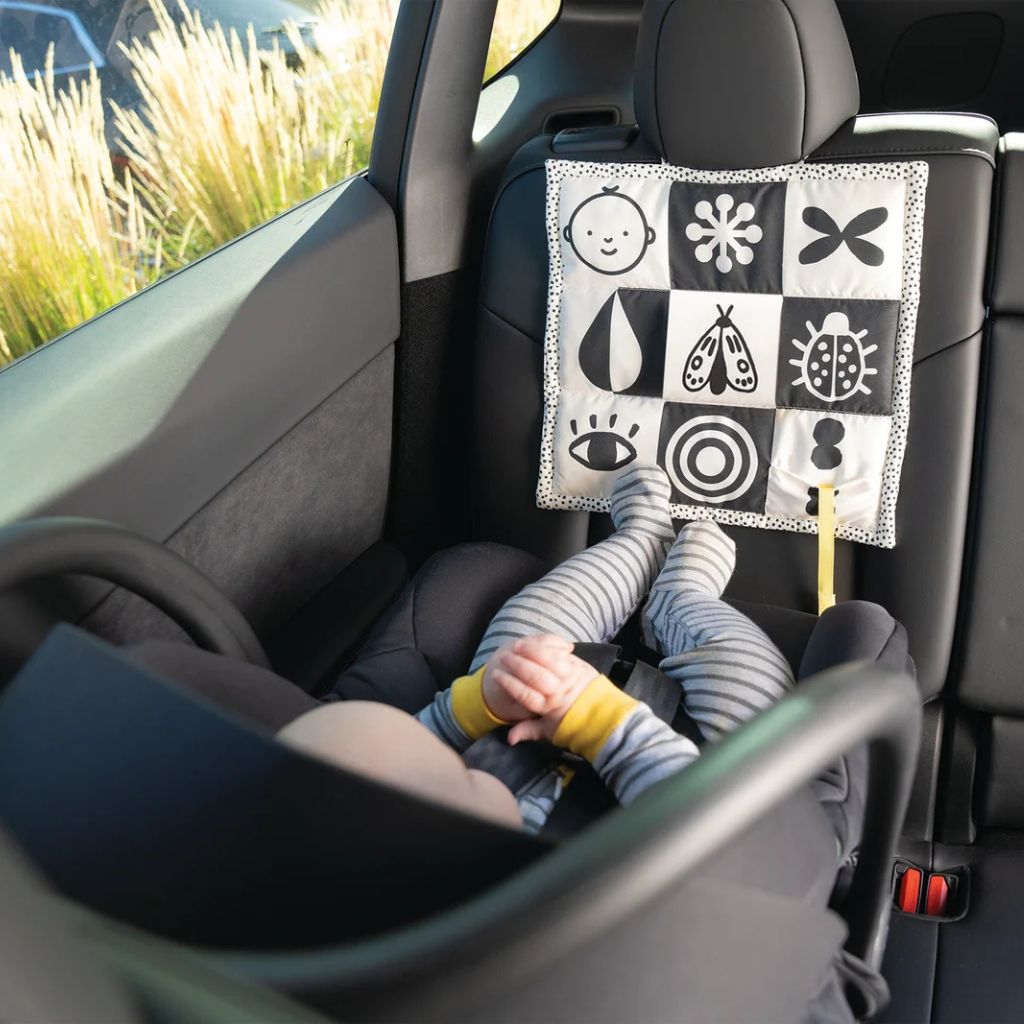 Manhattan Toy Wimmer 3-in-1 Speelmat Multi