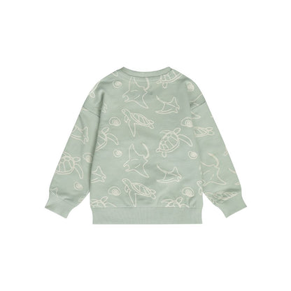 Dirkje Pull Soft Vert Sauge Pour Garçons