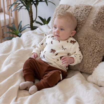 Feetje Broek velours rib Wild World Brown
