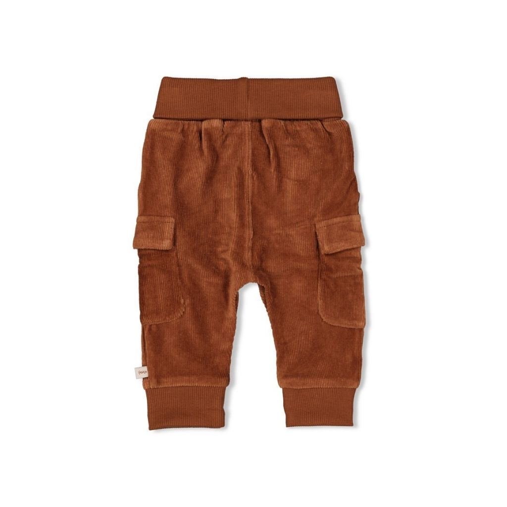 Feetje Broek velours rib Wild World Brown