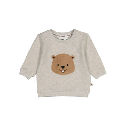 Feetje Pull Tiny Timber Tales Garçons Gray Melange