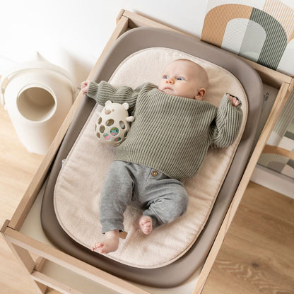 Nattou Coussin réducteur Softy éponge beige