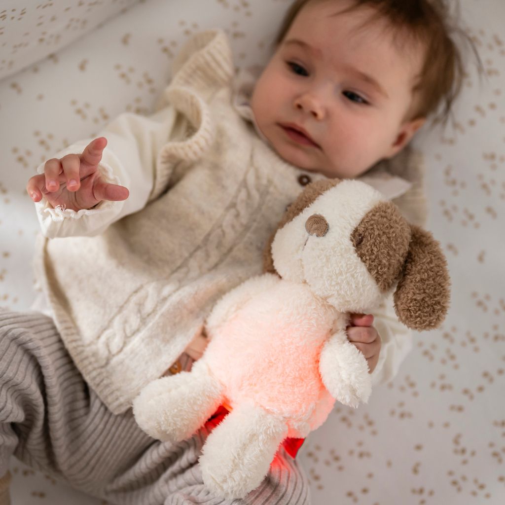 Nattou Peluche veilleuse Teddy/Nightlights Mini Sleepy chien vanille
